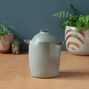 Soda-Fired Jar with Lil Wings