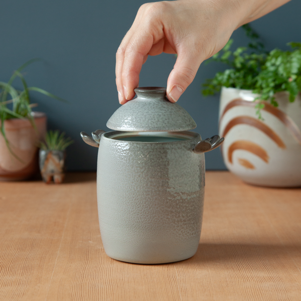 Soda-Fired Jar with Lil Wings