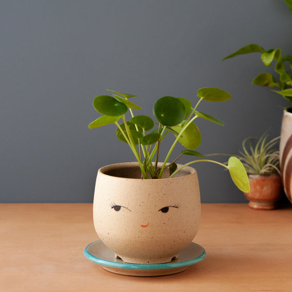 Coy Planter (Saucer sold separately)