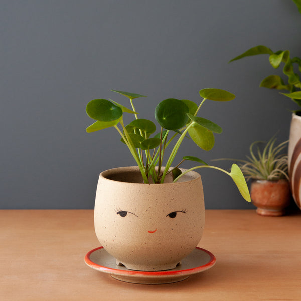 Coy Planter (Saucer sold separately)