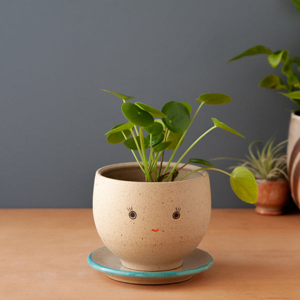 Bright-Eyed Planter (Saucer sold separately)