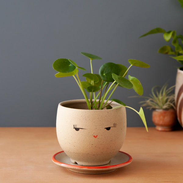 Side-Eye Planter (Saucer sold separately)