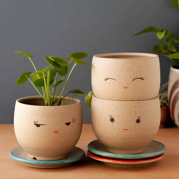 Bright-Eyed Planter (Saucer sold separately)