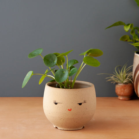 Side-Eye Planter (Saucer sold separately)