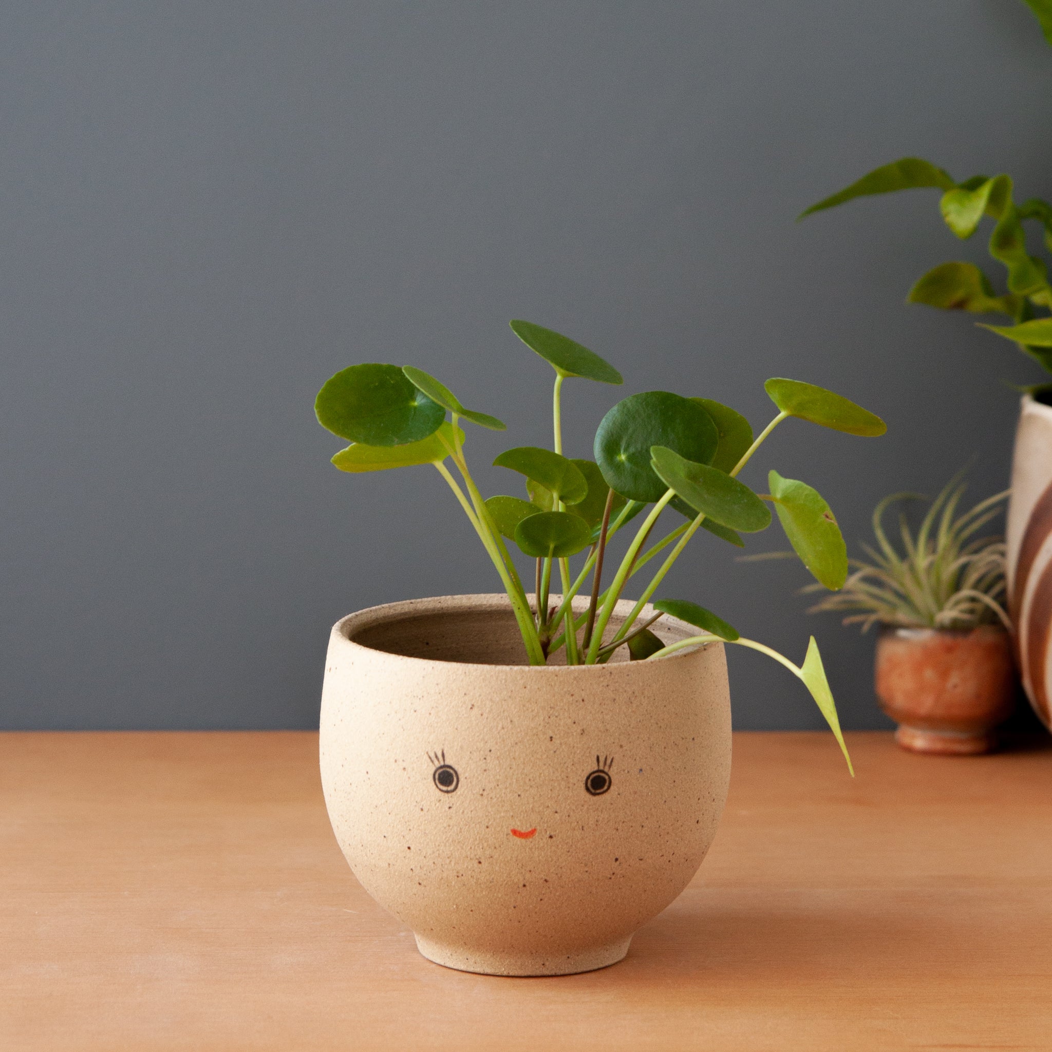 Bright-Eyed Planter (Saucer sold separately)